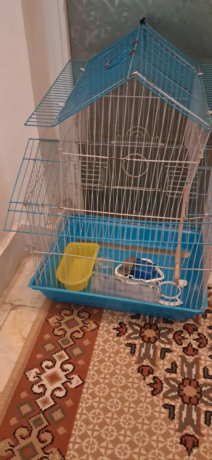 قفس|لوازم جانبی حیوانات|اردبیل, |دیوار