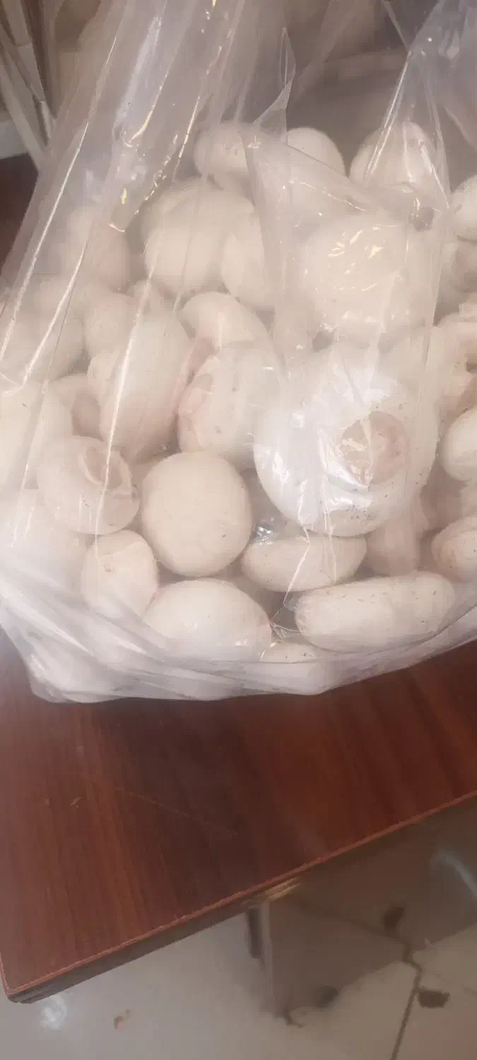 قارچ تازه روز|خوردنی و آشامیدنی|نیشابور, دارایی|دیوار