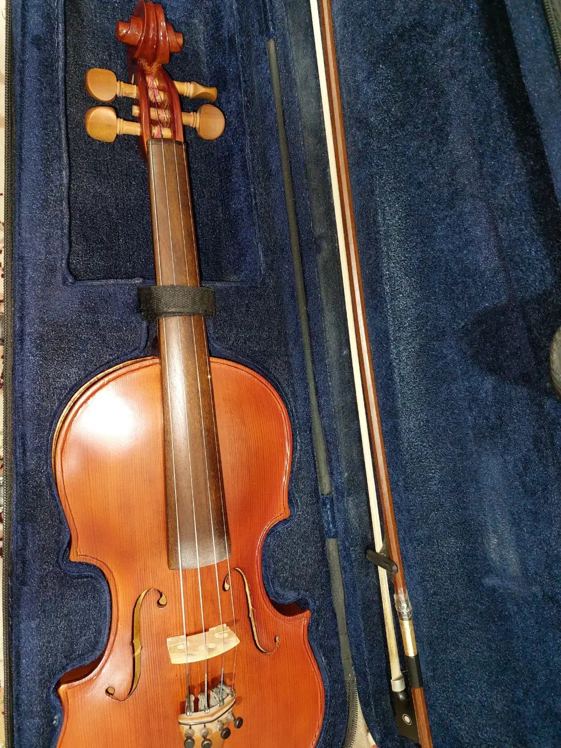 ویولن|ویولن|همدان, |دیوار