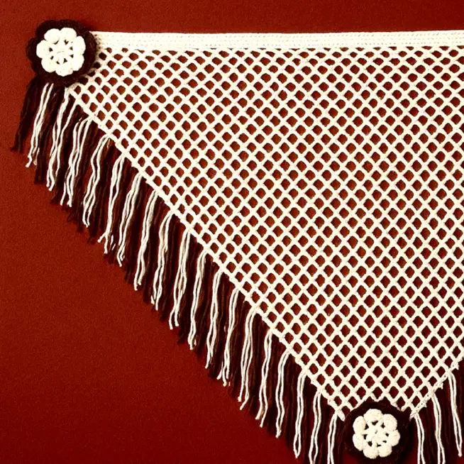 اشارپ شال دستبافت زیرقیمت|لباس|رشت, فلسطین|دیوار