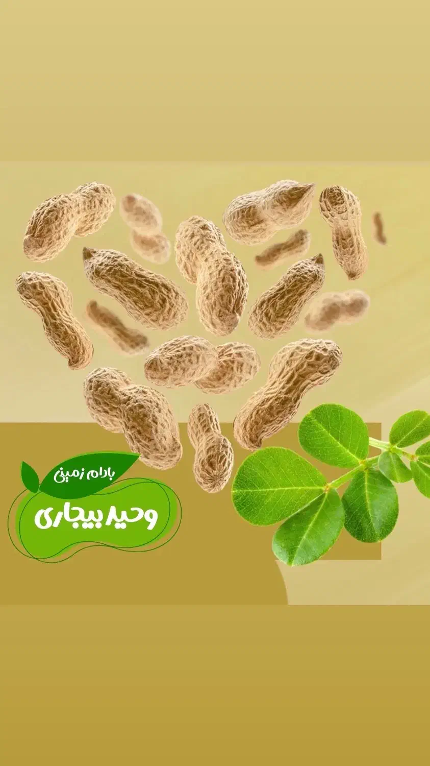 استخدام ۴ نفر نیروی کار آقا|استخدام صنعتی، فنی، مهندسی|آستانه اشرفیه, |دیوار