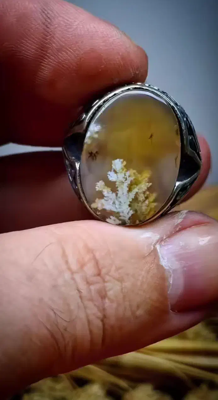 زمینه لیمویی انگشتر شجر|جواهرات|اصفهان, کشاورزی|دیوار