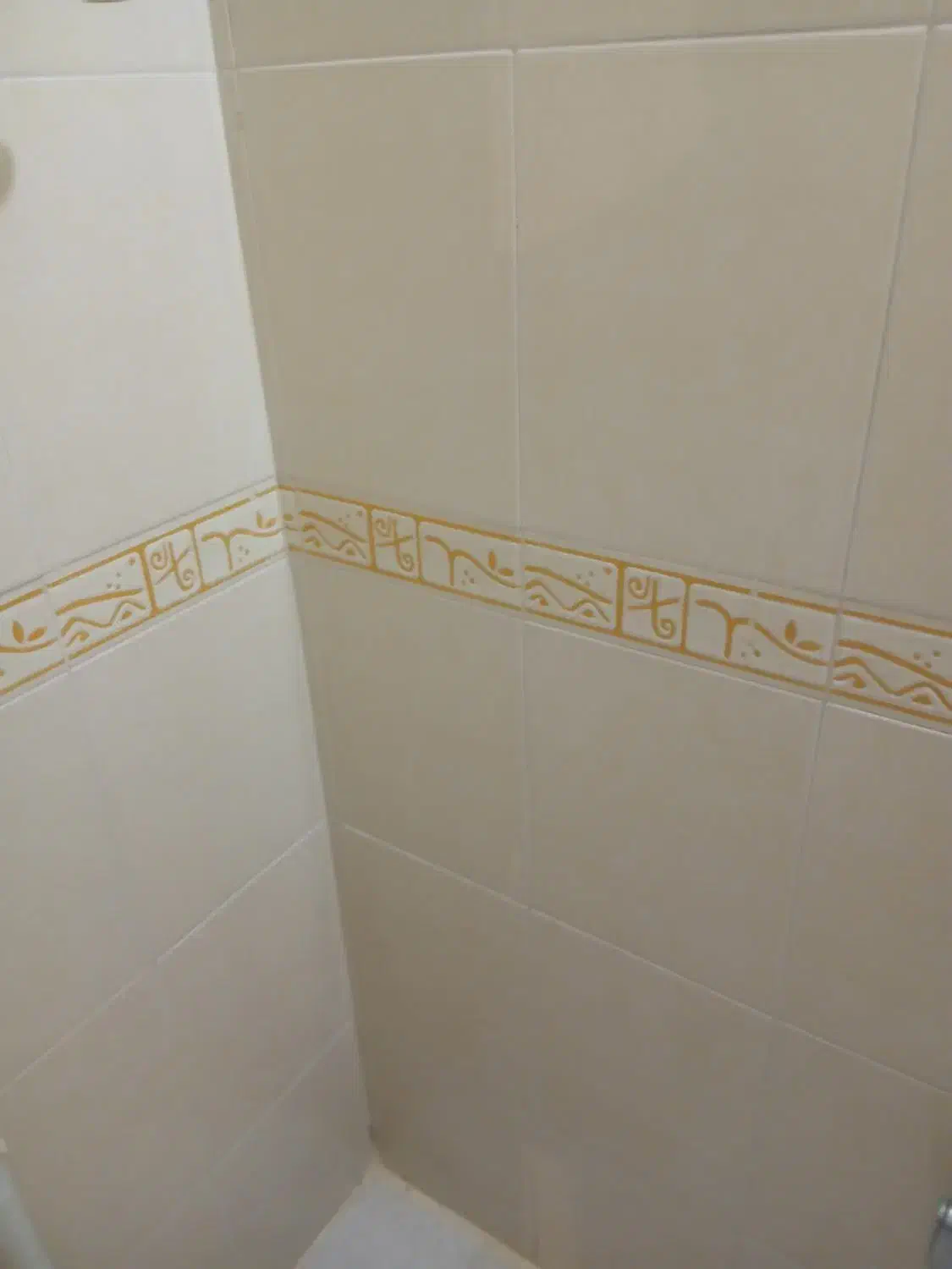 بنایی ساختمان|خدمات پیشه و مهارت|رودهن, |دیوار