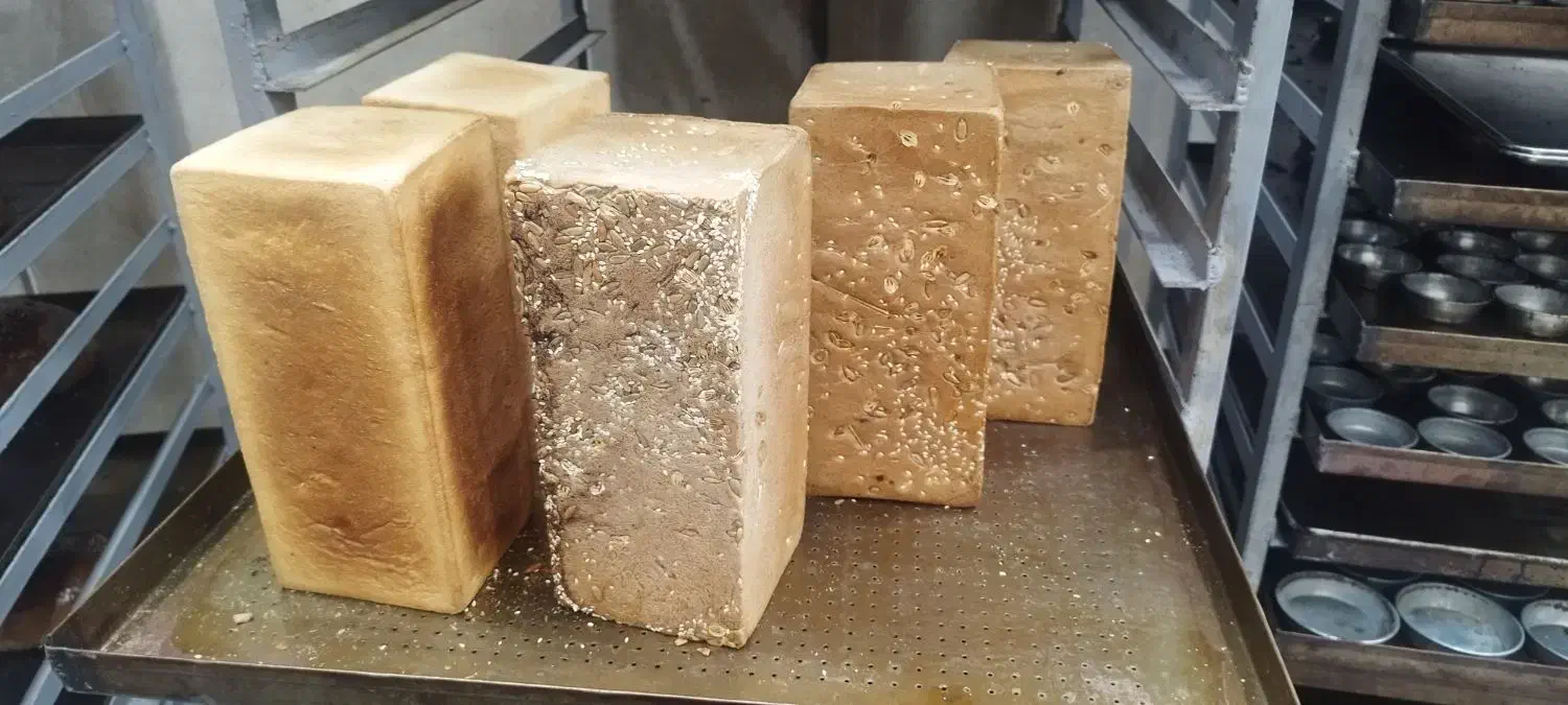 تولید و پخش نان باگت|خوردنی و آشامیدنی|تهران, پارک شهر|دیوار