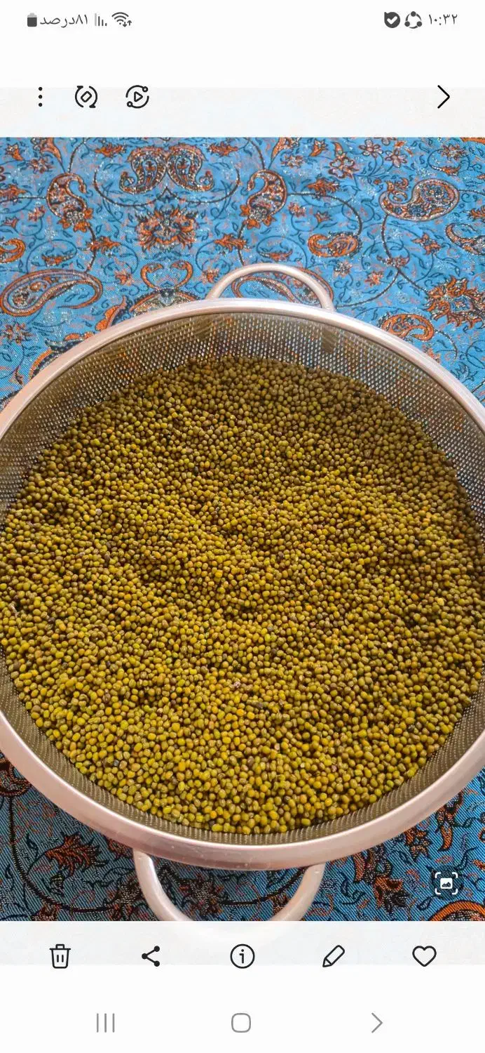 ماش محلی|خوردنی و آشامیدنی|شیراز, حومه شیراز|دیوار