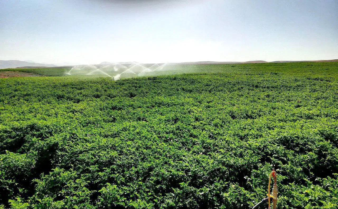 زمین کشاورزی آبی دیواندره سیستم آبیاری بارانی|فروش دفتر صنعتی، کشاورزی، تجاری|دیواندره, |دیوار