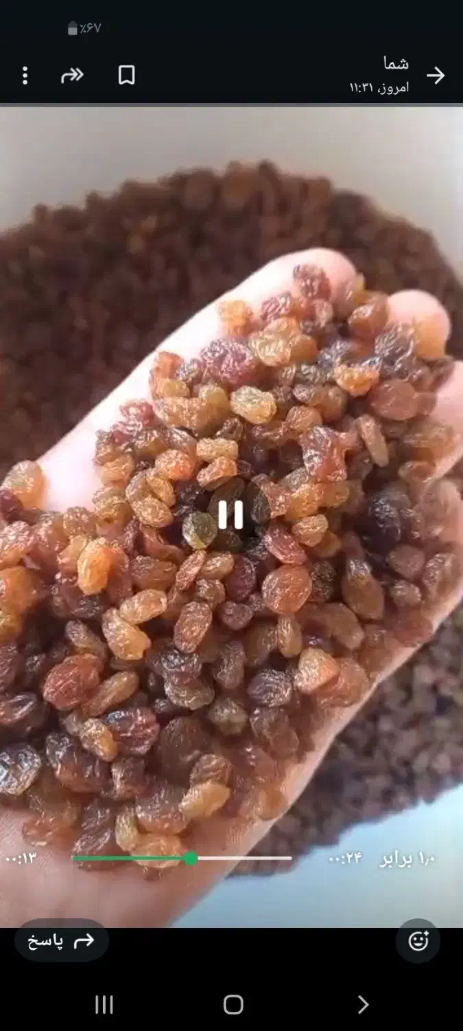 کشمش قیمت مناسب|خوردنی و آشامیدنی|اهواز, کیان اباد|دیوار