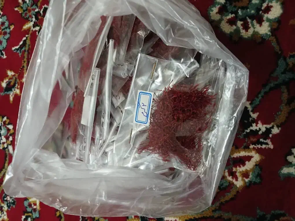 زعفران اعلای لرستان|خوردنی و آشامیدنی|اندیمشک, |دیوار