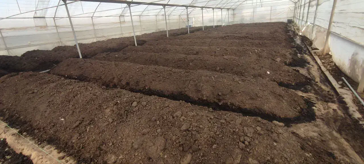 کود ورمی کمپوست زمرد|خدمات باغبانی و درختکاری|ورامین, خورین|دیوار