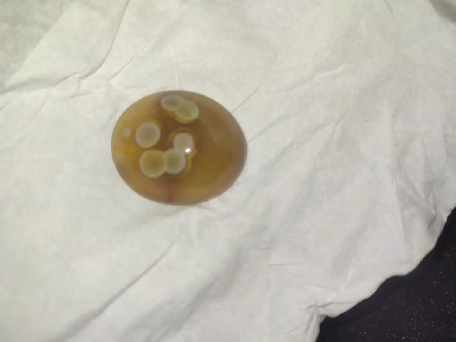 اهواز|بدلیجات|حمیدیه, |دیوار