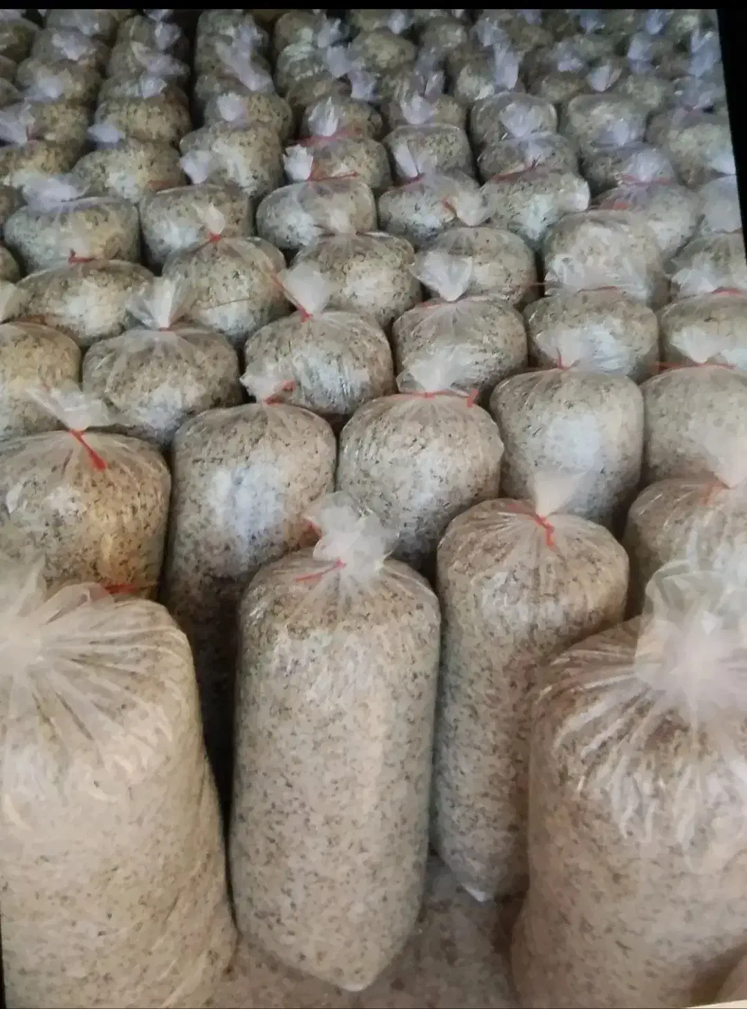 توفاله چغندر خشک|لوازم جانبی حیوانات|میانه, |دیوار