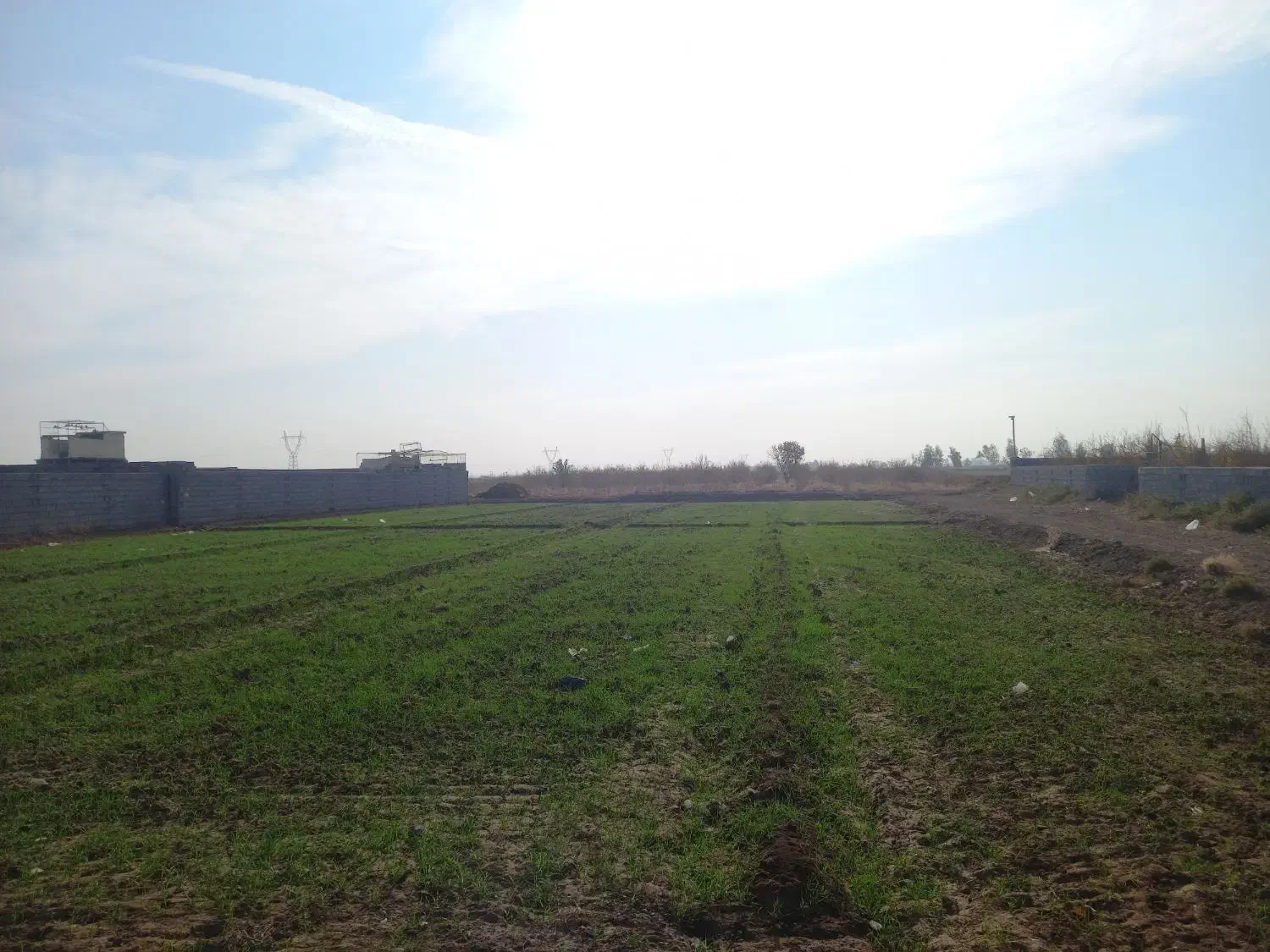 زمین خانه باغ شهرمشکات|فروش زمین و ملک کلنگی|کاشان, مشکات|دیوار