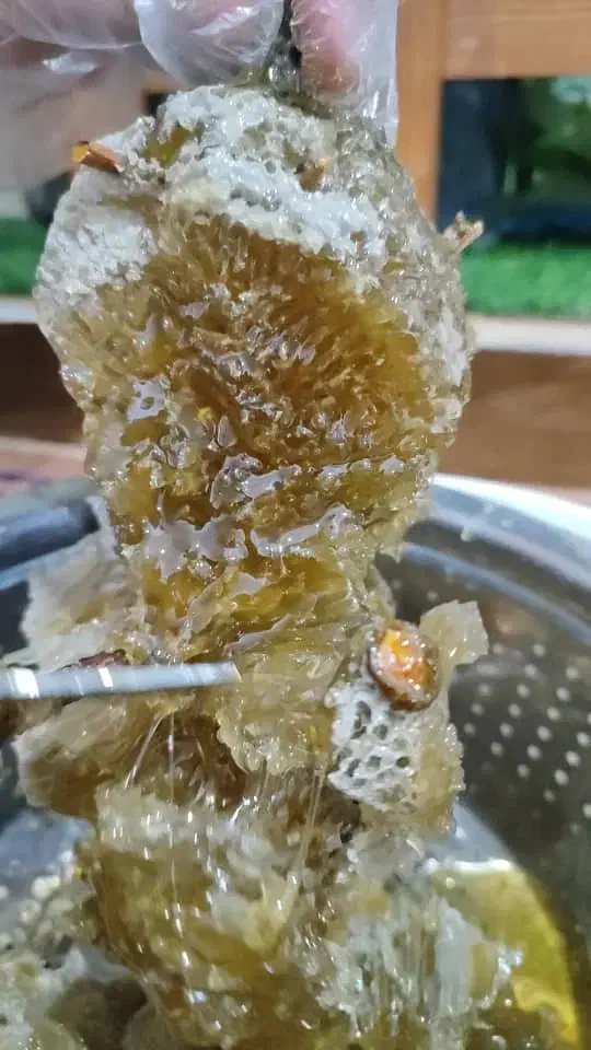 عسل صددرصد طبیعی|عمدهفروشی|سیراف, |دیوار