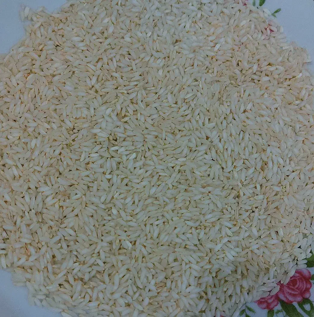 محصولات محلی لنجون|خوردنی و آشامیدنی|ایذه, |دیوار