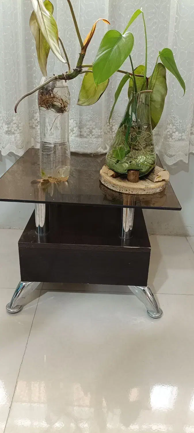 میز عسلی|مبلمان خانگی و میز عسلی|گلبهار, شهر جدید گلبهار|دیوار