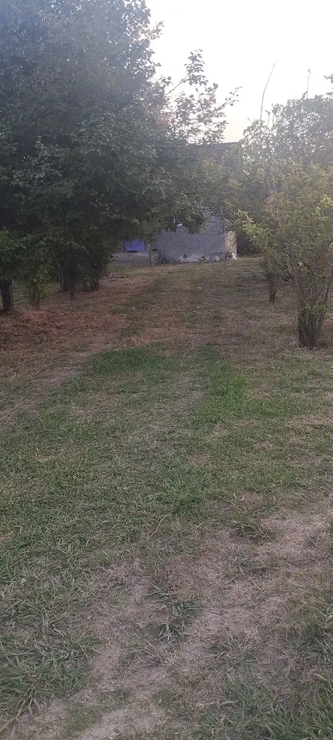 926متر زمین مسکونی همراه باخانه وانبار درایشکا|فروش زمین و ملک کلنگی|لاهیجان, بازکیاگوراب|دیوار