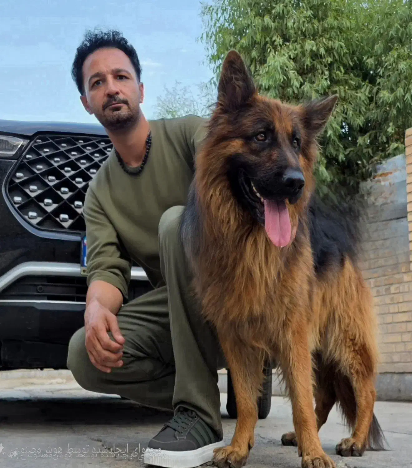 سگ ژرمن|سگ|اسلامشهر, شهرک واوان|دیوار