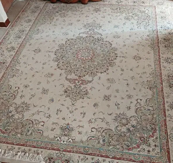 فرش نگین مشهد|فرش|بومهن, |دیوار