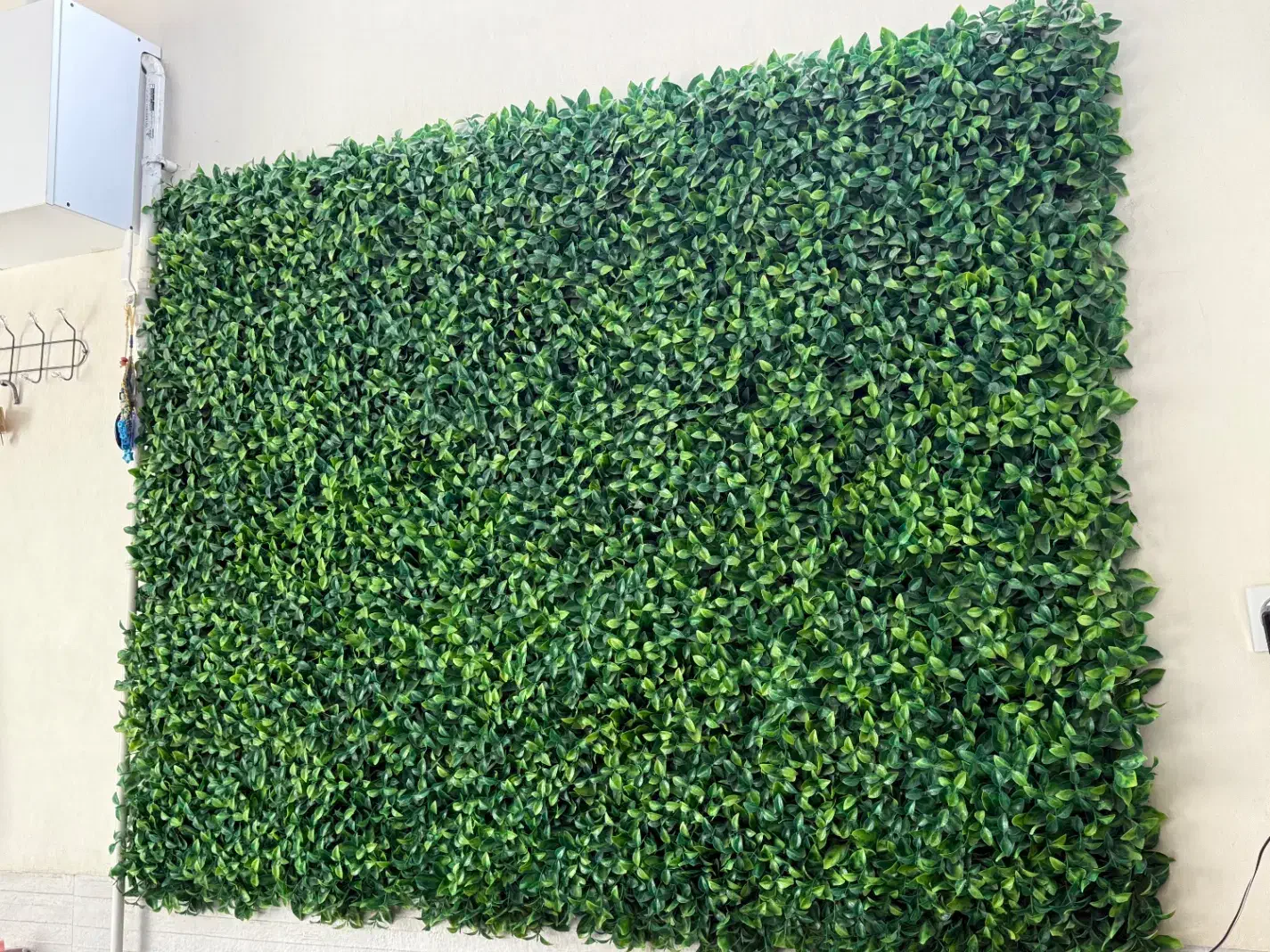 چمن مصنوعی دیواری|گل مصنوعی|همدان, |دیوار