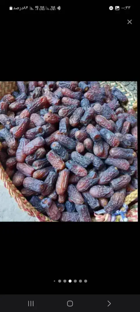 خرمایی پیارم به قیمت عمده فقط 295|عمده‌فروشی|لنگرود, |دیوار