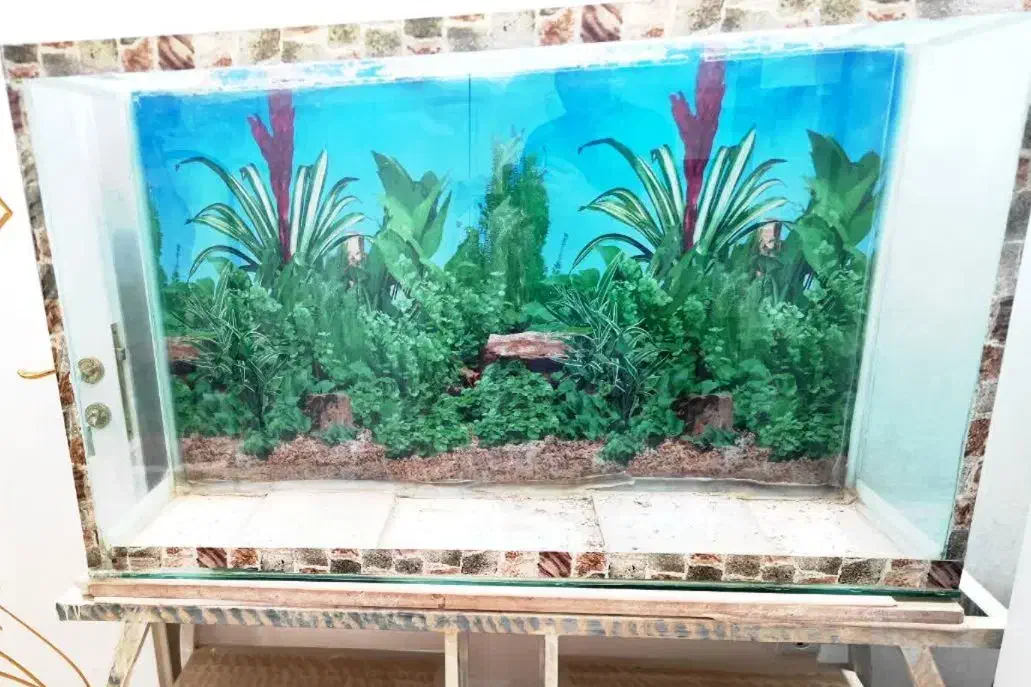 آکواریوم تزیینی|صنایع دستی و سایر لوازم تزئینی|خمینی‌شهر, |دیوار