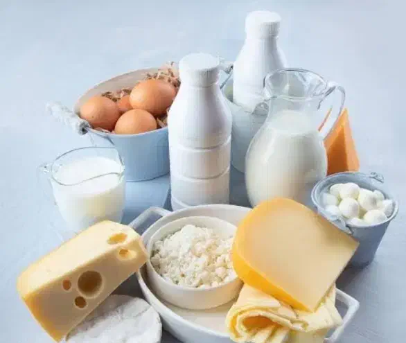 لبنیات|خوردنی و آشامیدنی|کاشان, زیدی|دیوار