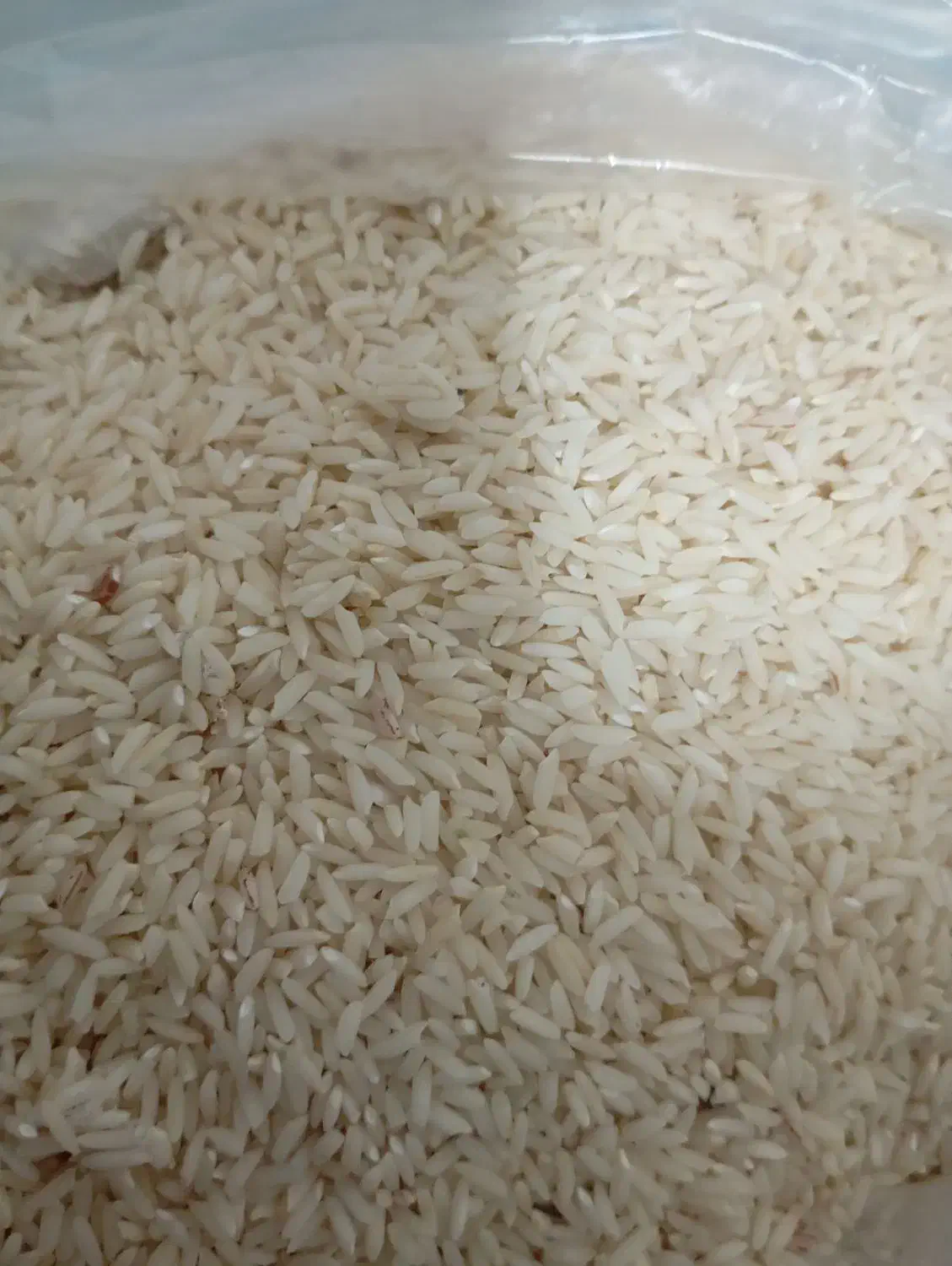 برنج|خوردنی و آشامیدنی|شازند, |دیوار