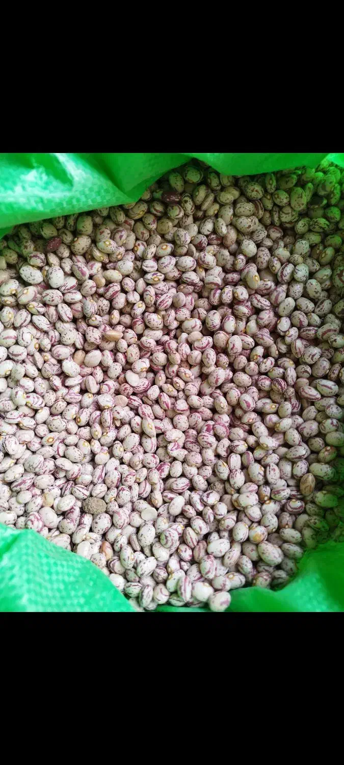 لوبیا چیتی|خوردنی و آشامیدنی|صائین قلعه, |دیوار