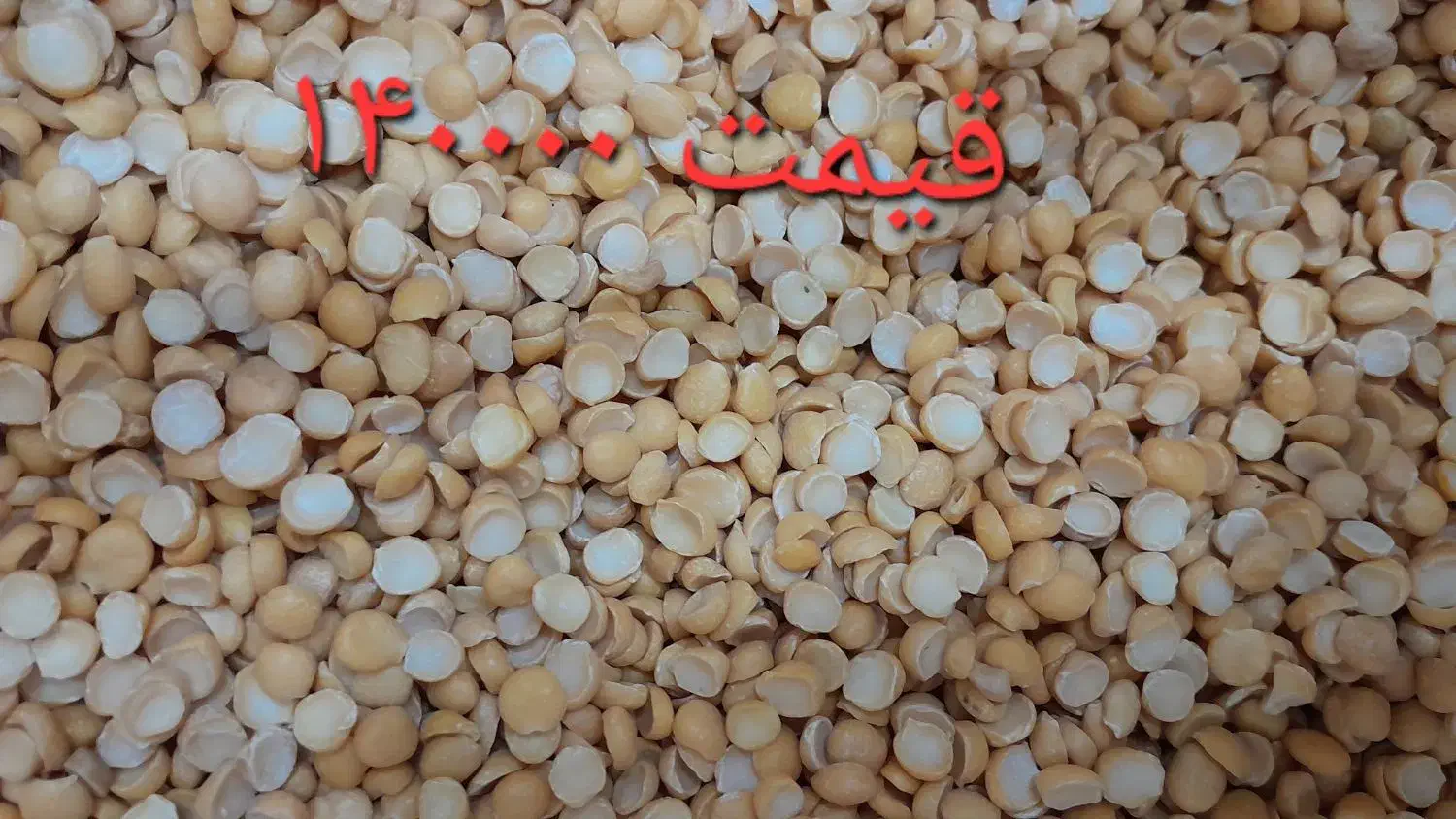 فروش لپه ایرانی|حراج|نقده, |دیوار