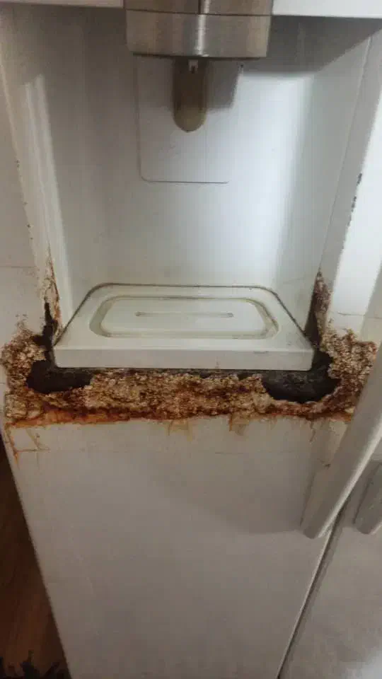 رنگ کردن یخچال ولوازم|خدمات پیشه و مهارت|ساوه, |دیوار