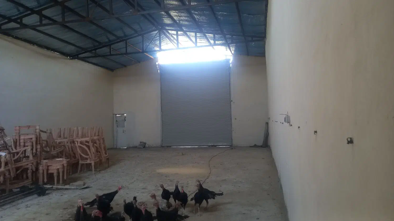 فروش سوله ۲۰۰متری|فروش دفتر صنعتی، کشاورزی، تجاری|ملایر, |دیوار