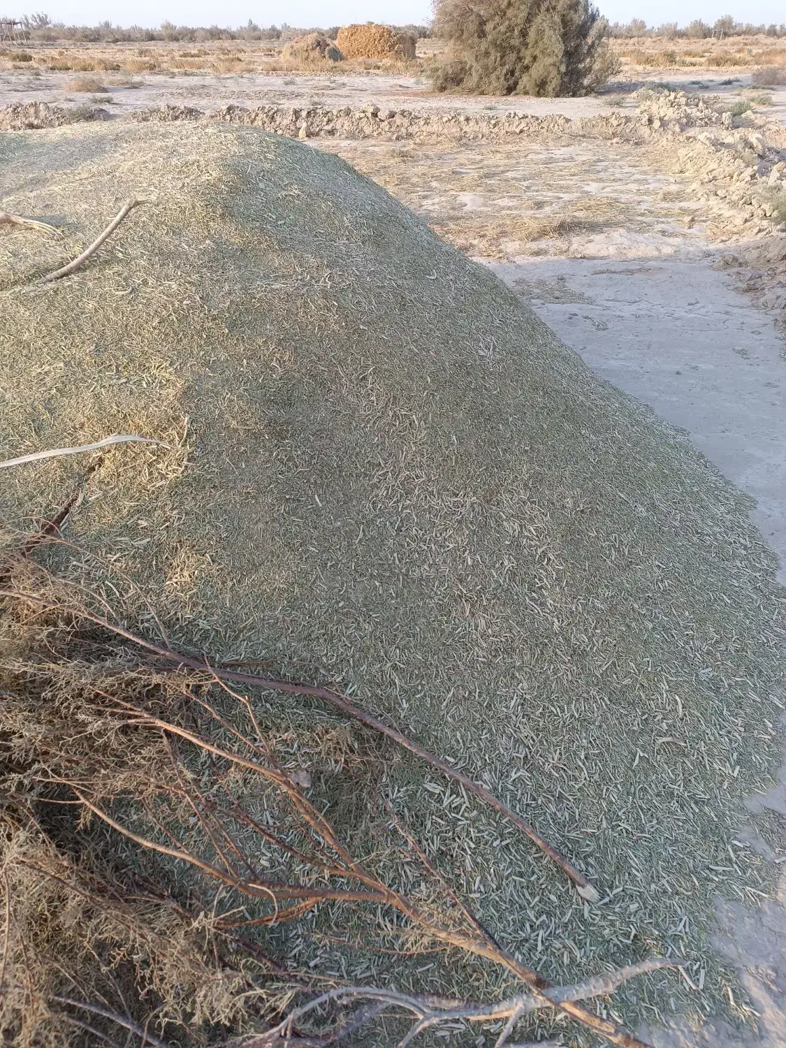 خار کوبیده|لوازم جانبی حیوانات|زابل, |دیوار