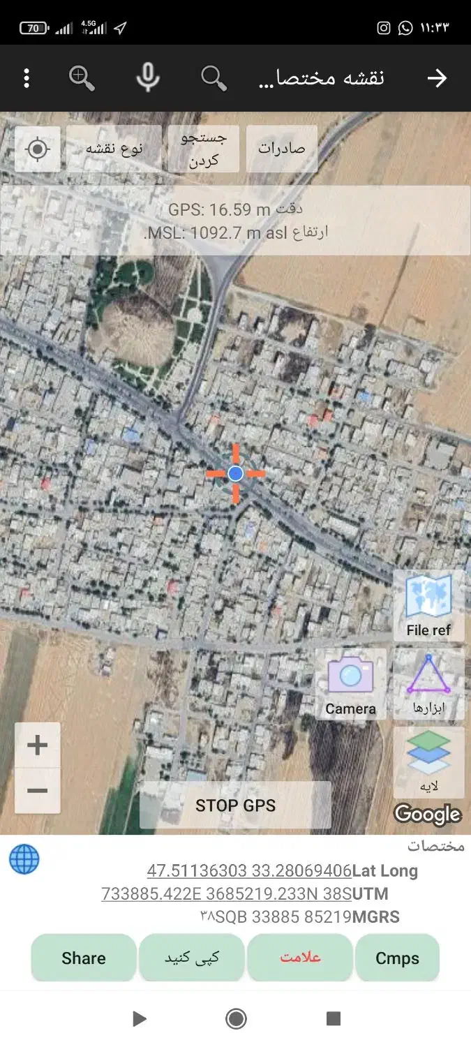 عروس هلندی|پرنده|کوهدشت, |دیوار