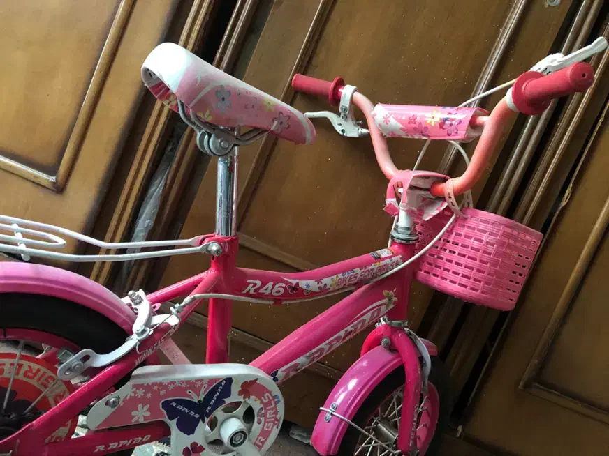 دوچرخه دخترانه تنه روسی|دوچرخه، اسکیت، اسکوتر|تهران, تهرانپارس غربی|دیوار