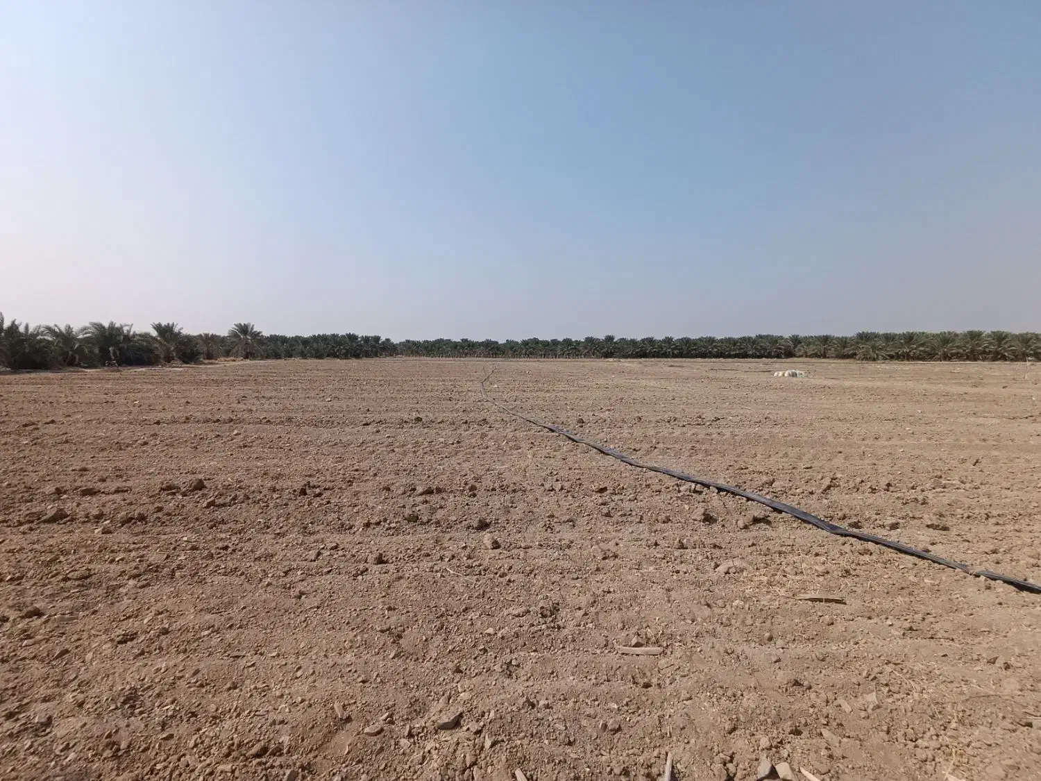 اجاره زمین کشاورزی حاصل خیز|اجارهٔ دفتر صنعتی، کشاورزی، تجاری|بلوک, |دیوار