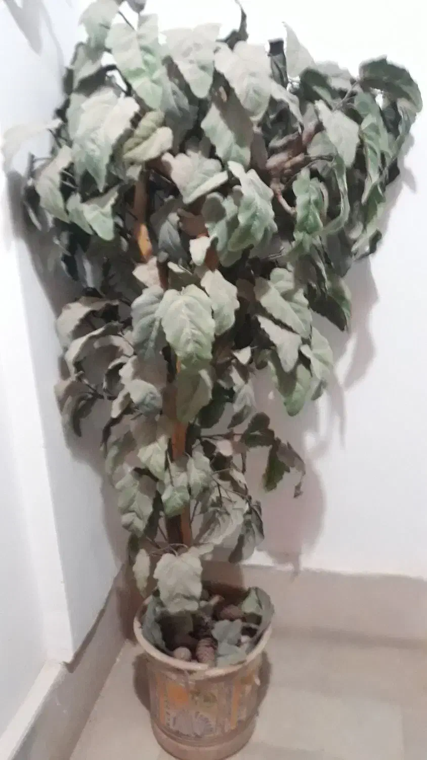 درخت مصنوعی|گل مصنوعی|مشهد, چهارچشمه|دیوار