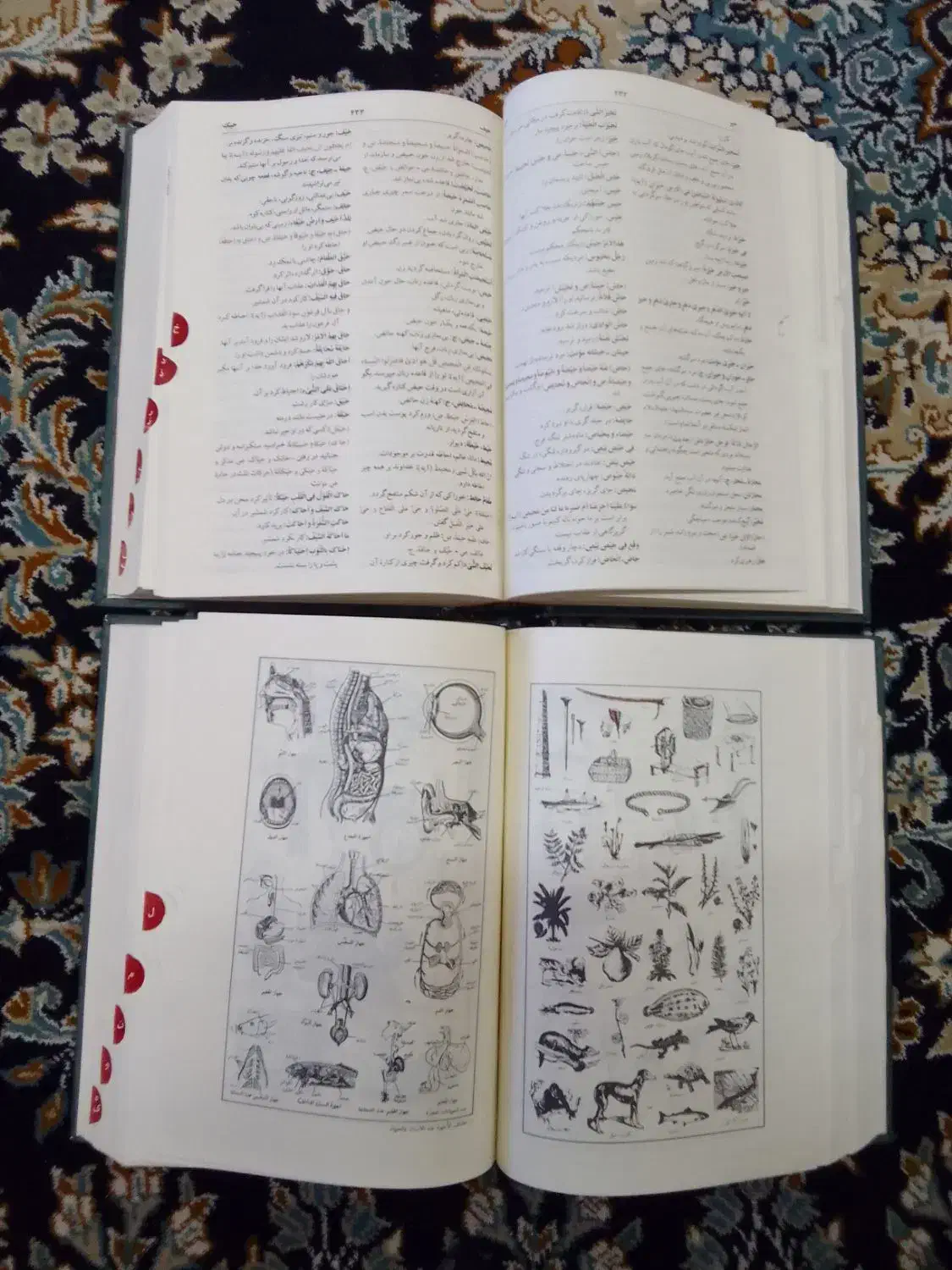 ترجمه المنجد احمد سیاح|کتاب و مجله ادبی|شهرکرد, |دیوار