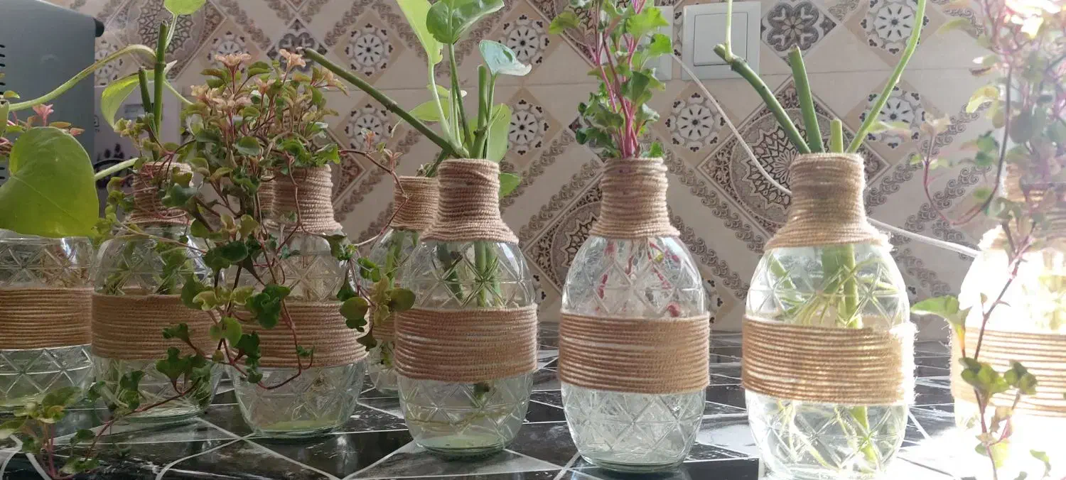 بطری.گل.گلدان|گل و گیاه طبیعی|خمینی‌شهر, |دیوار