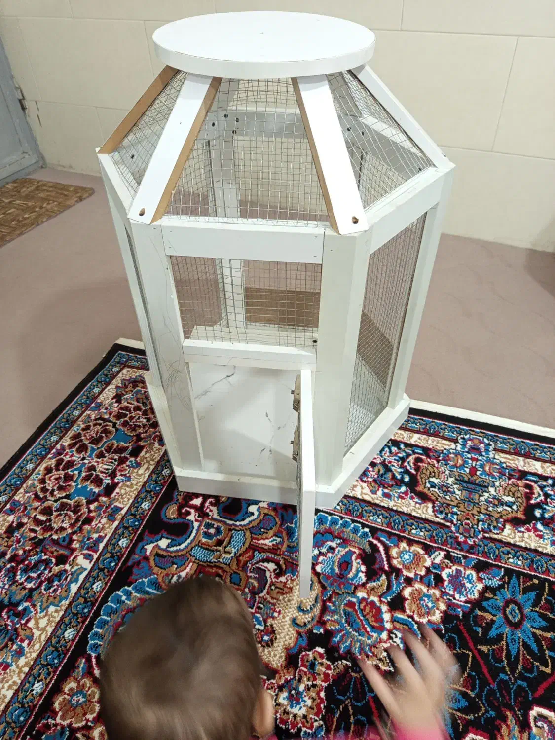 قفس|لوازم جانبی حیوانات|سیرجان, |دیوار