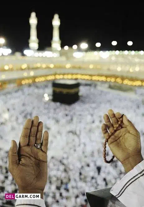 فروش  فیش حج تمتع|تور و چارتر|میمند, |دیوار