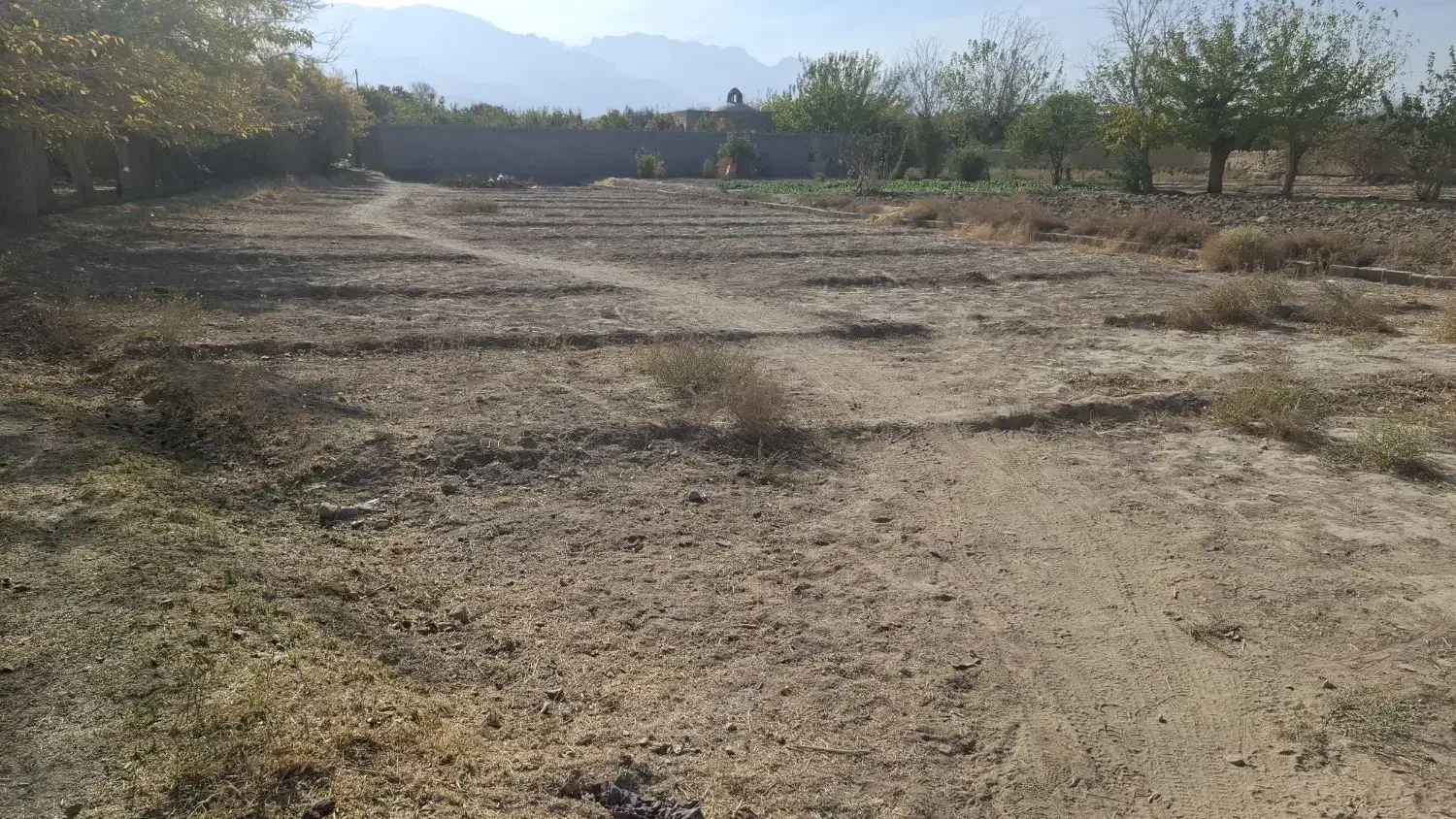 زمین زراعی|فروش زمین و ملک کلنگی|مهریز, |دیوار