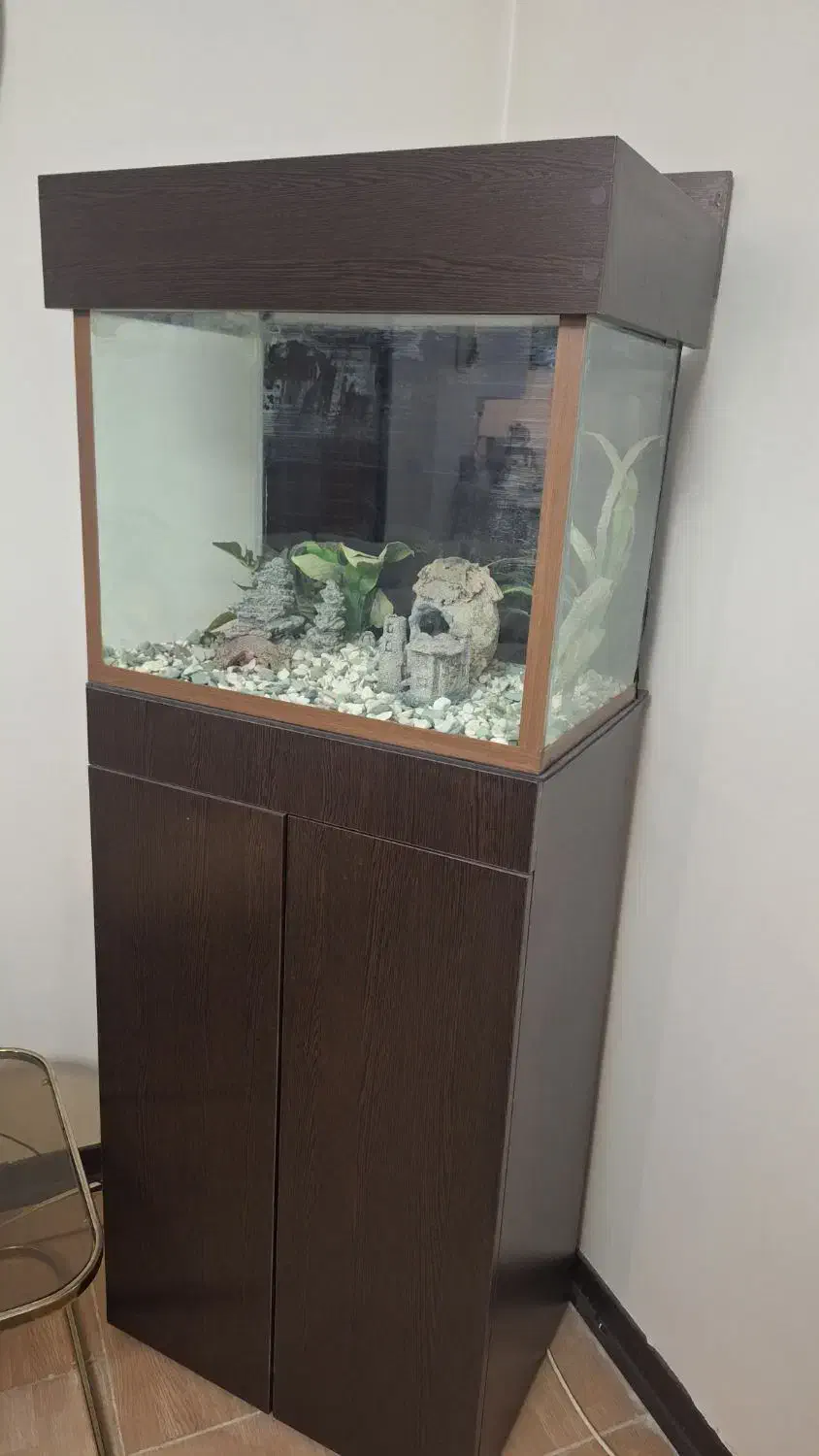 آکواریوم بهمراه لوازم کامل|ماهی|پردیس, فاز ۹|دیوار