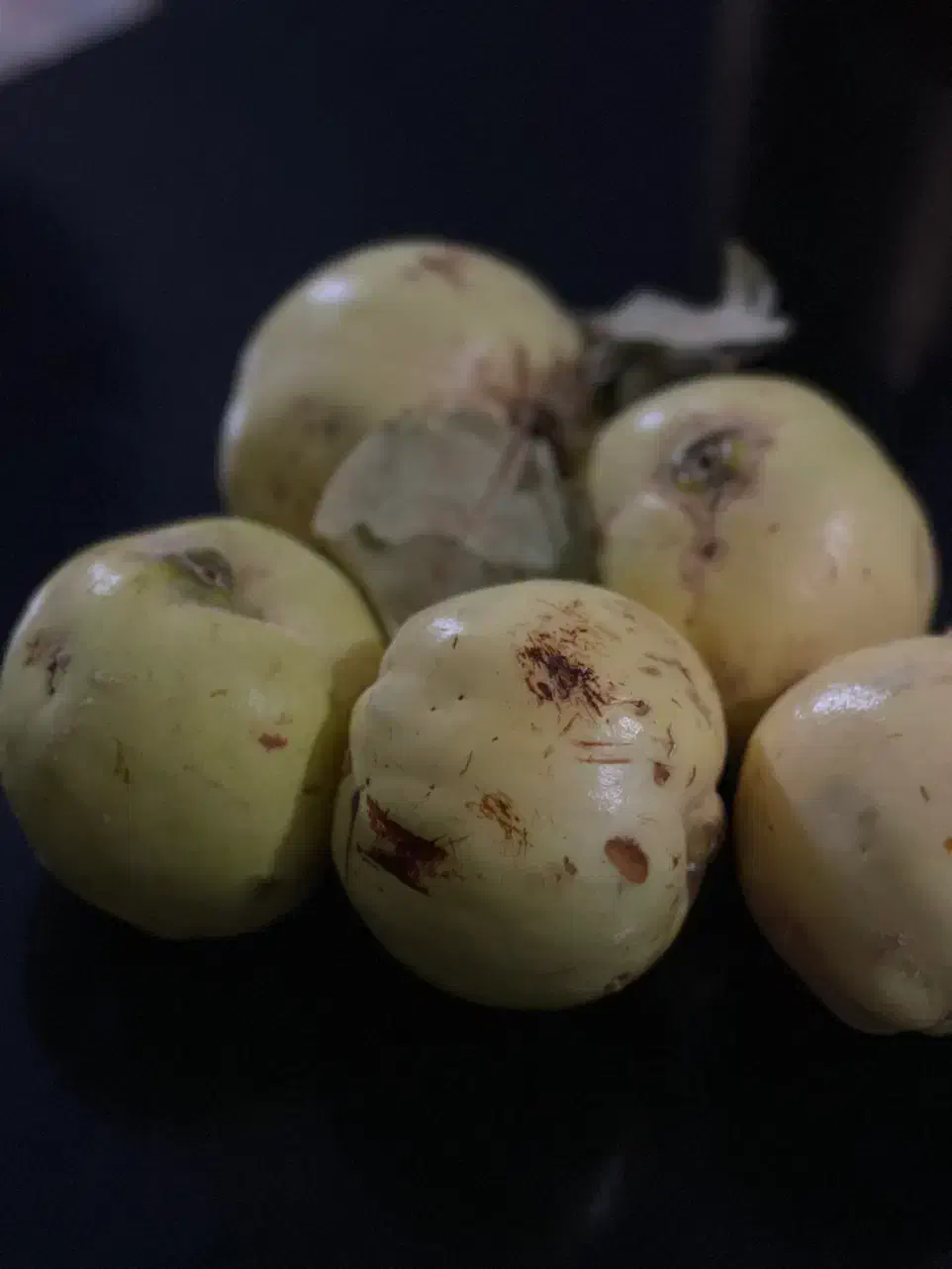 به شیرین|خوردنی و آشامیدنی|شیراز, عادل آباد|دیوار