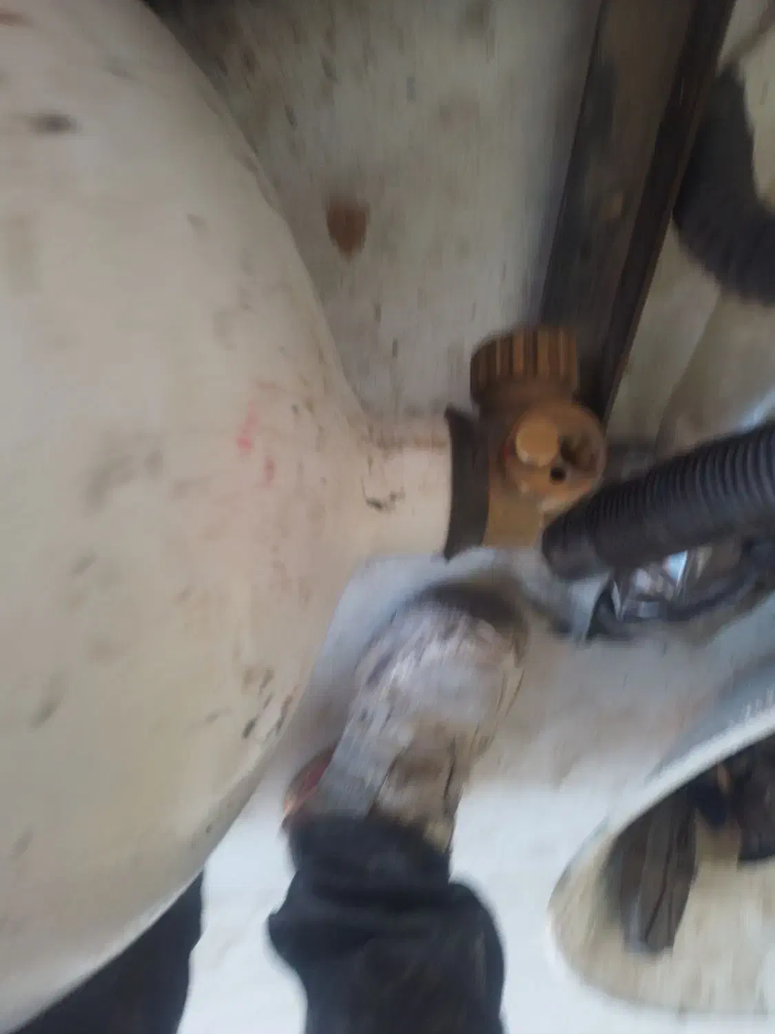 کپسول پژویی ۲۰۰۳۵|قطعات یدکی و لوازم جانبی|فریدونشهر, |دیوار