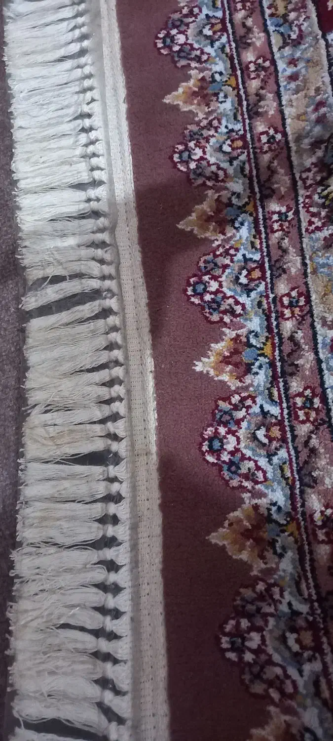 فرش|فرش|آستانه اشرفیه, |دیوار