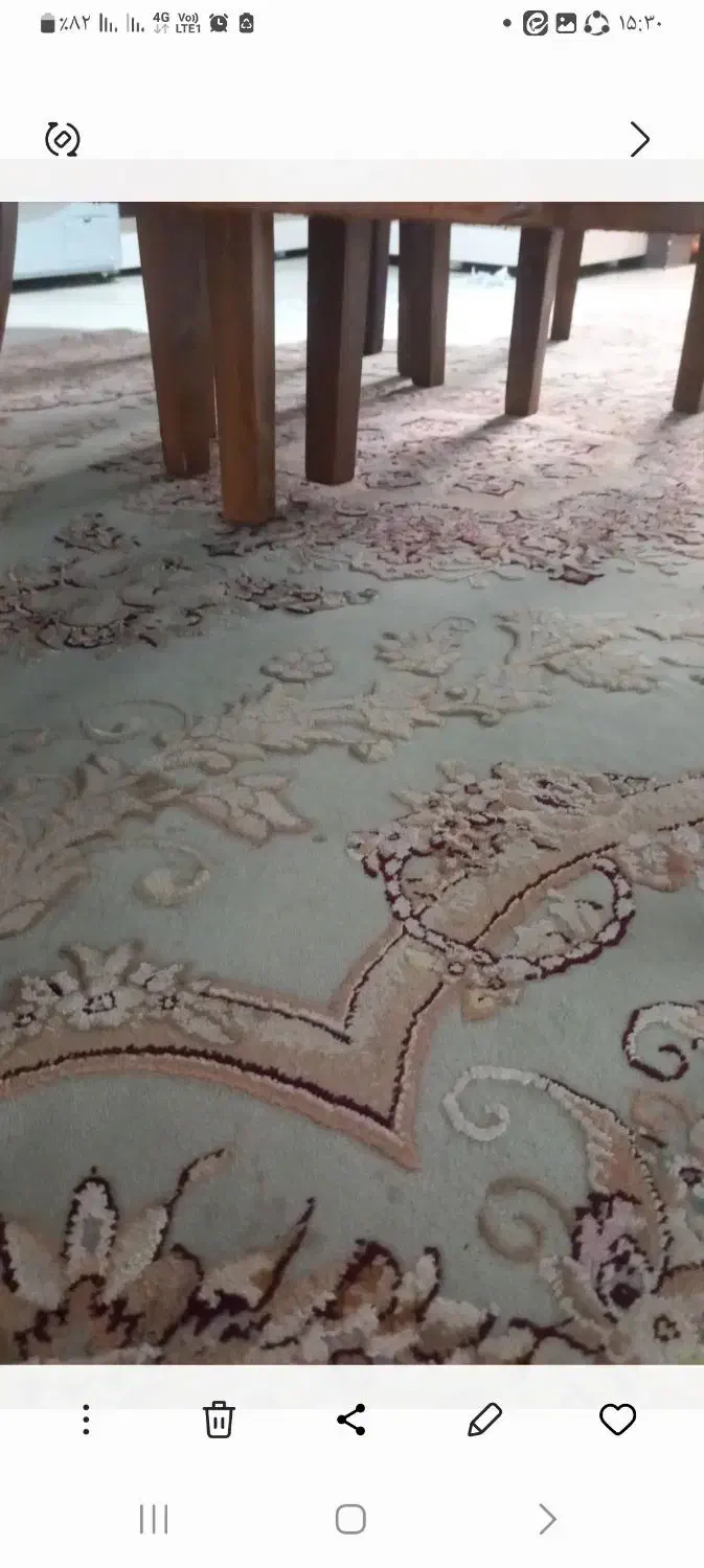 فرش ۶ متری|فرش|نوشهر, |دیوار