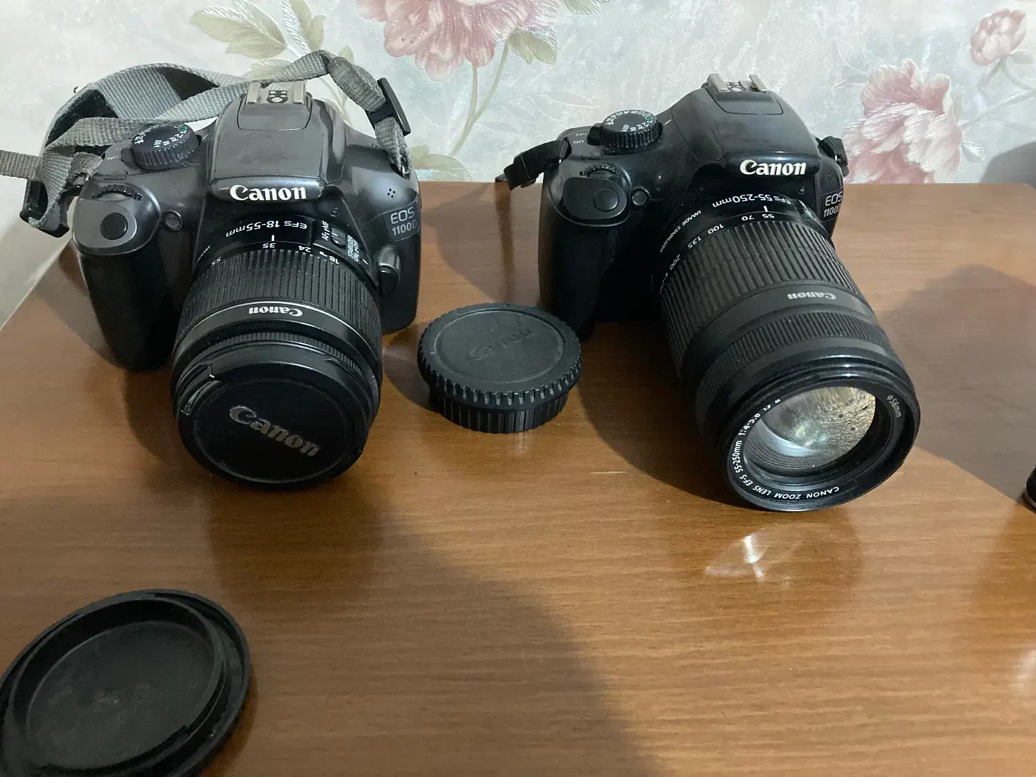 دوربین عکاسی حرفه ای 1100D کانن|دوربین عکاسی و فیلم‌برداری|مشهد, جاهد شهر|دیوار