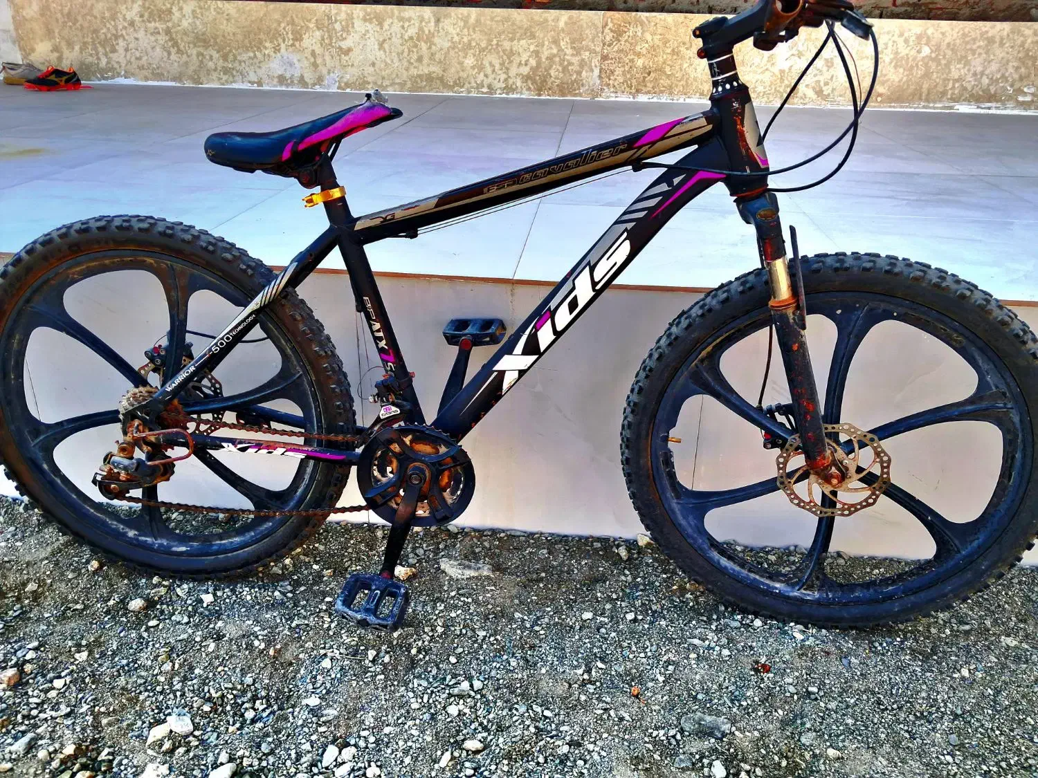 دوچرخه ۲۴|دوچرخه، اسکیت، اسکوتر|منوجان, |دیوار