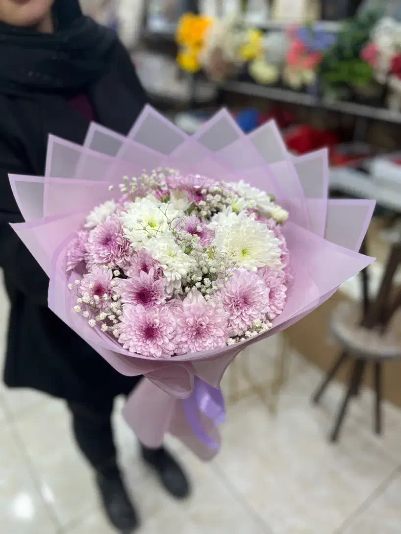 طبیعی|گل و گیاه طبیعی|ارومیه, |دیوار