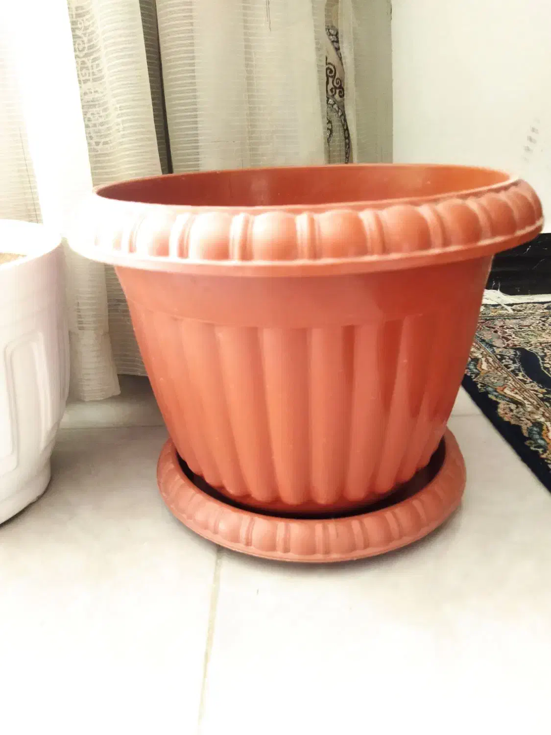 گلدان پلاستیکی وسرامیکی|گل و گیاه طبیعی|شیروان (خراسان), |دیوار